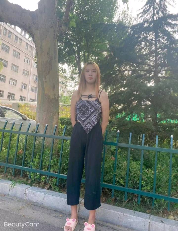 很年轻的小野猫